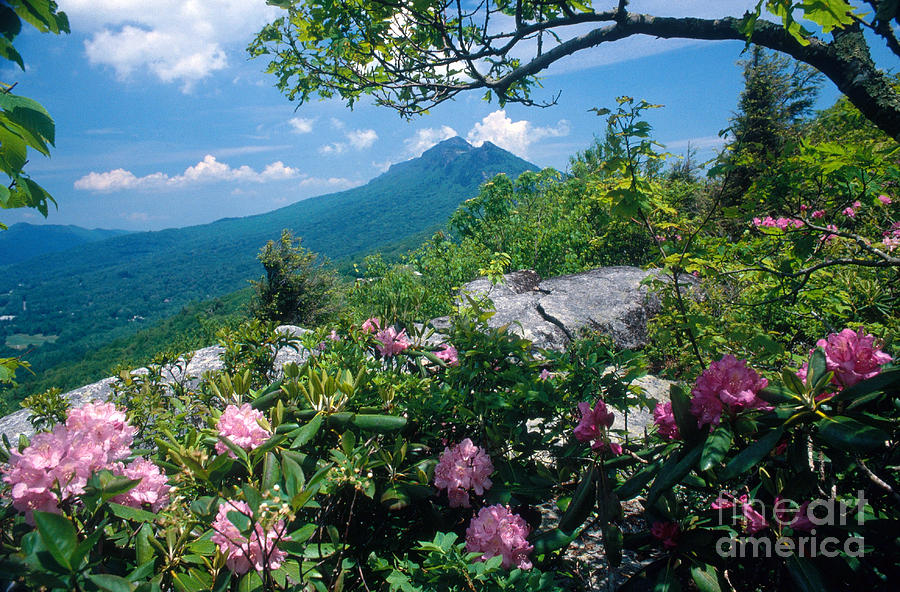Grandfather Mountain Photograph by Bruce Roberts