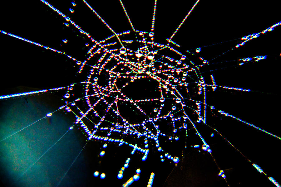 Grandmother Spiders Dream Catcher Photograph by Paula OMalley