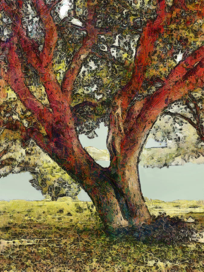 Tree Digital Art - Grandmother by Wendy J St Christopher