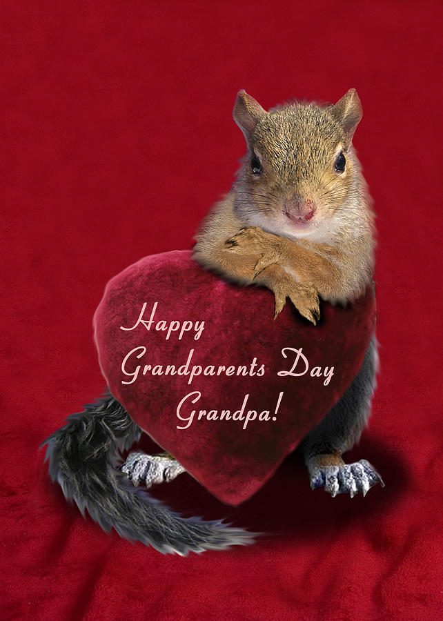 Download Grandparents Day Grandpa Squirrel Photograph By Jeanette K