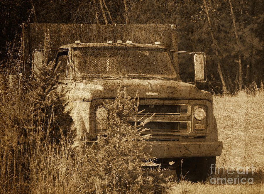 Grandpas old truck Photograph by Andrea Anderegg