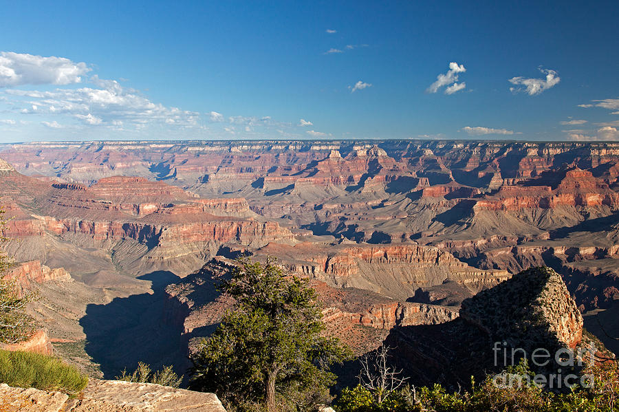 Grandview Point Grand Canyon National Park Photograph by Fred Stearns