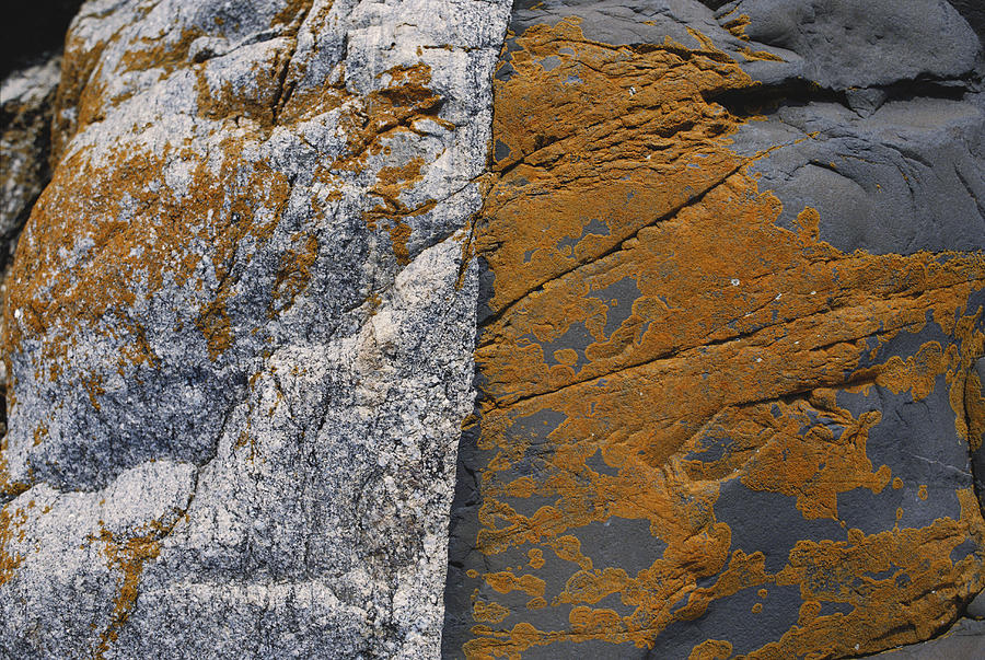 Granite And Diabase Photograph by Carleton Ray