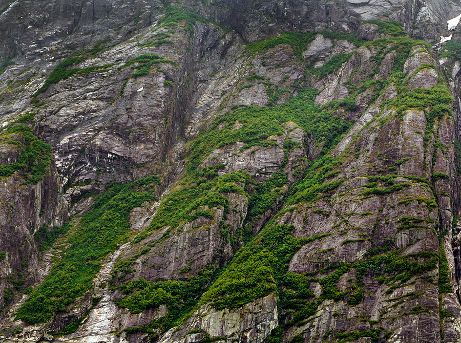 Alaska Photograph - Granite Cliffs with Emeralds by Nathan Mccreery