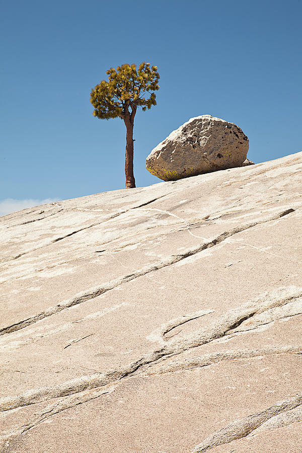 Granite Rock And Tree At Horizon Photograph by Alice Cahill