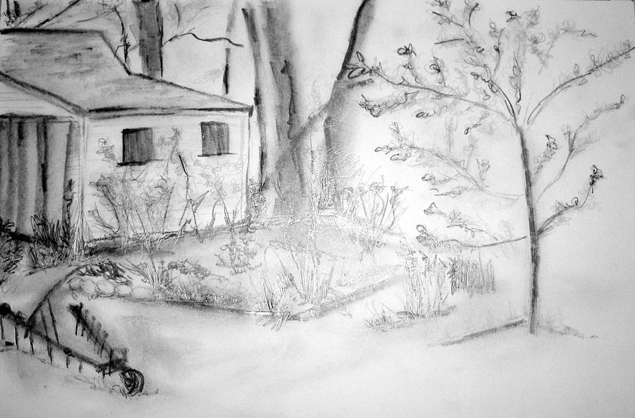 Tree Drawing - Granpas Backyard III by Helena Bebirian