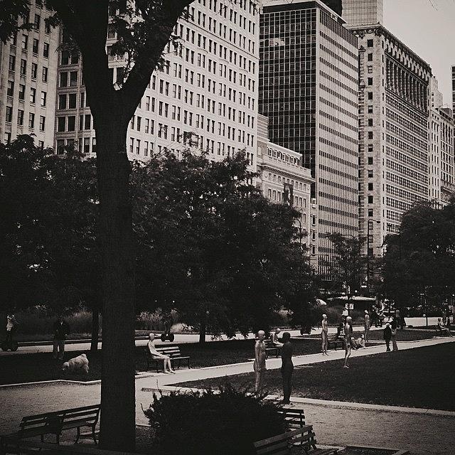 Chicago Photograph - Grant Park Chicago - Monochrome by Frank J Casella