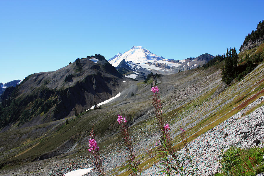 Grant Peak of Mount Baker Photograph by Gerry Bates