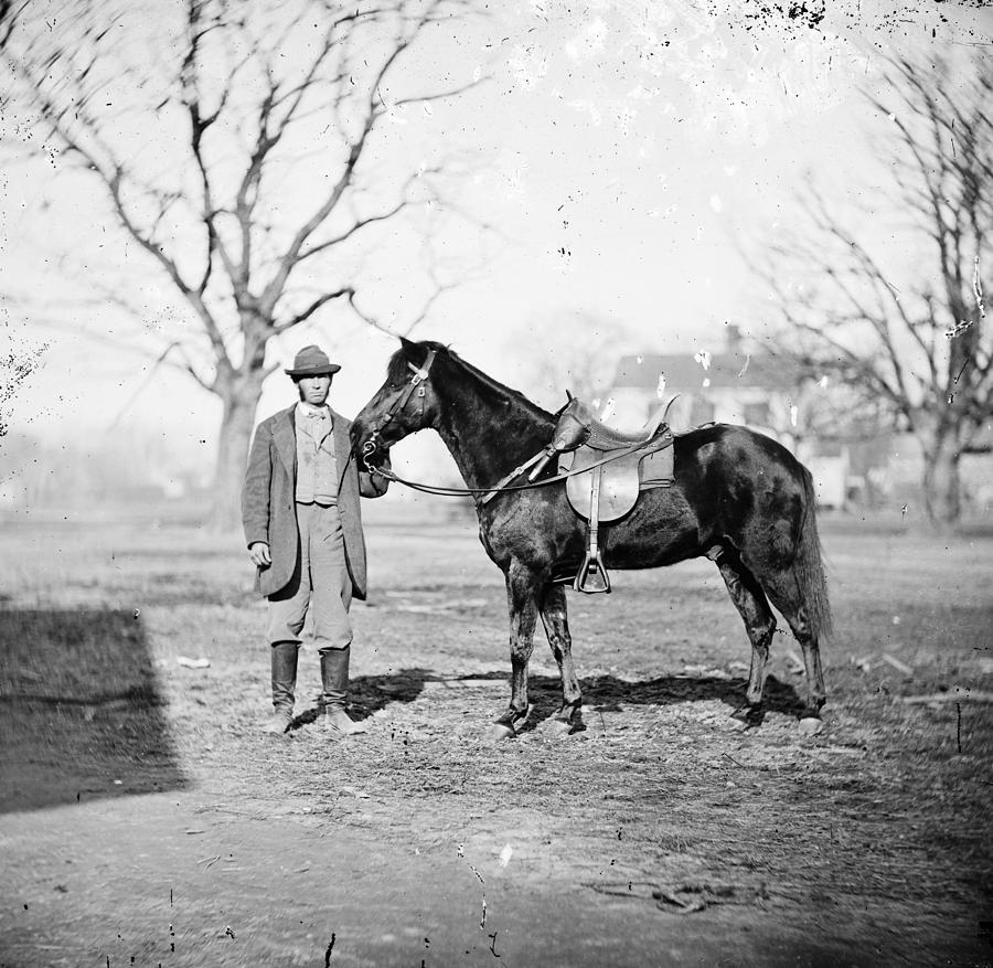 Grant Pony, 1865 Photograph by Granger