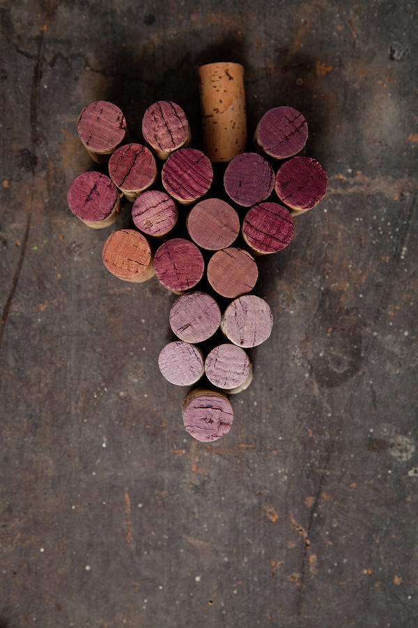 Grape Corks Photograph by Sematadesign