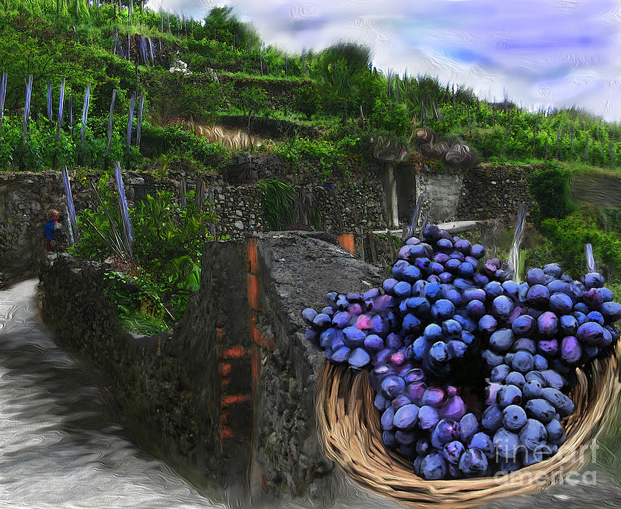 Grape Grove Digital Art by Lisa Redfern