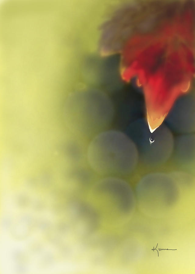Grape Leaf Waterdrop Photograph by Kume Bryant