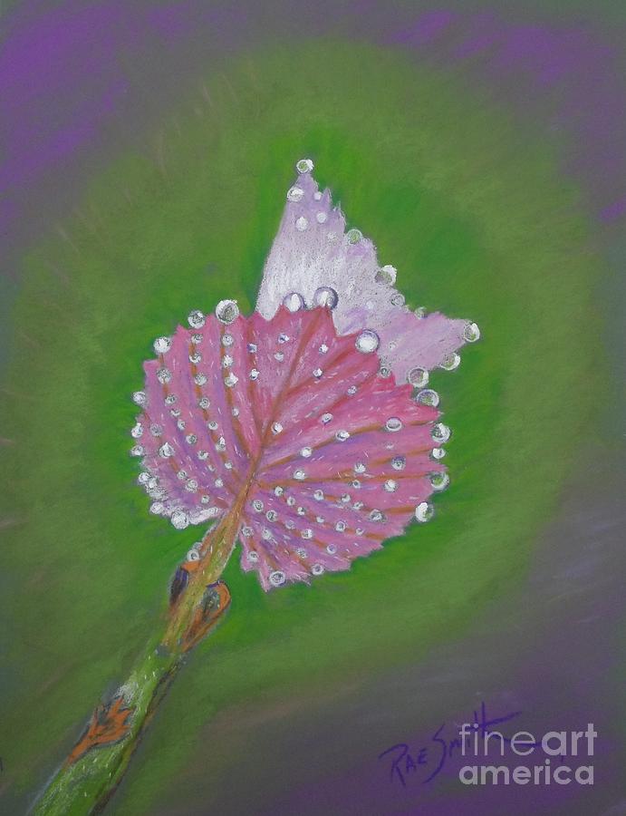 Grape Leaves Pastel by Rae  Smith