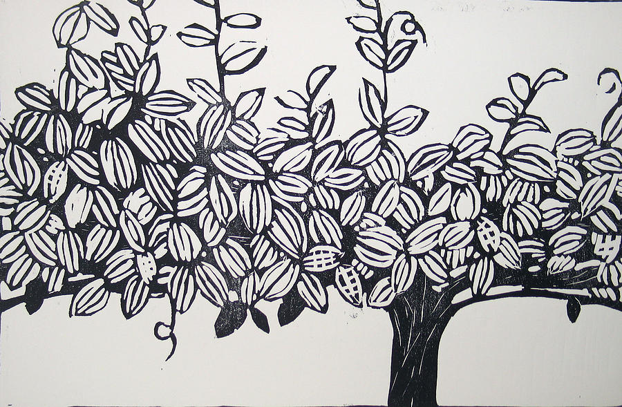 Grapevine with its branch vector clip art | Public domain vectors