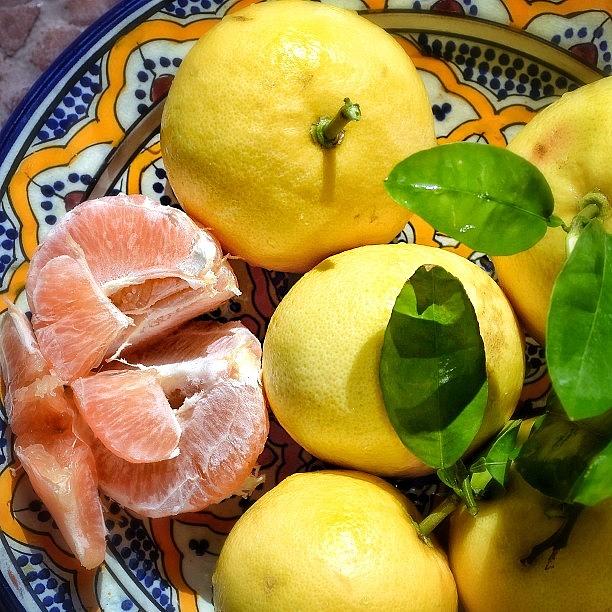 Grapefruit From My Garden To Our Table Photograph by Najat Husain
