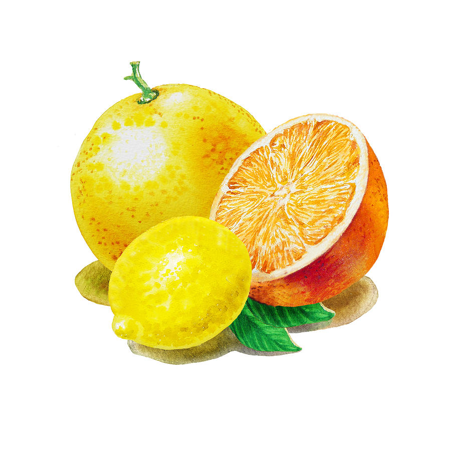 Fruit Painting - Grapefruit Lemon Orange by Irina Sztukowski