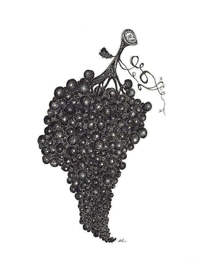Grapefull Greetings by Andrea Currie Grapefull Greetings by Andrea Currie
