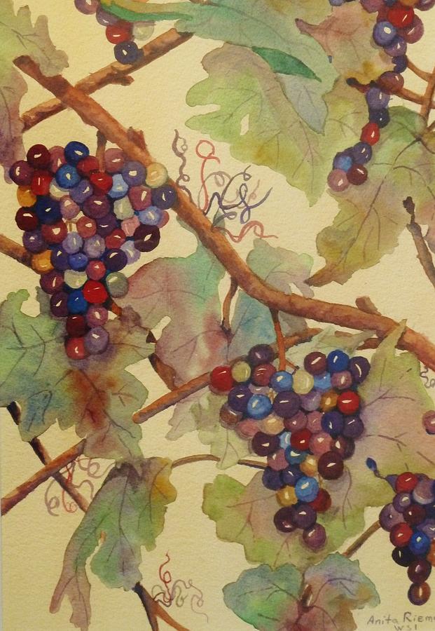 Grape Painting - Grapes Again by Anita Riemen