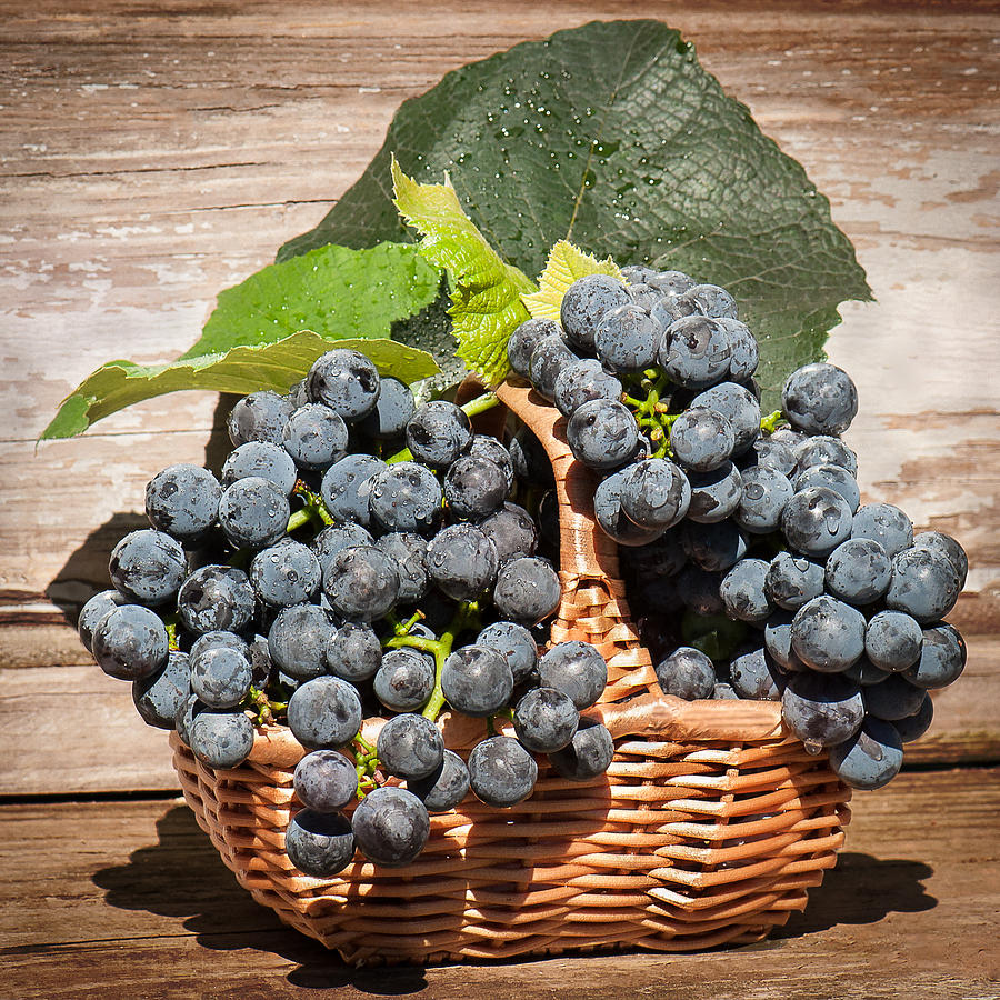 Grape Photograph - Grapes And Leaves In Basket by Len Romanick