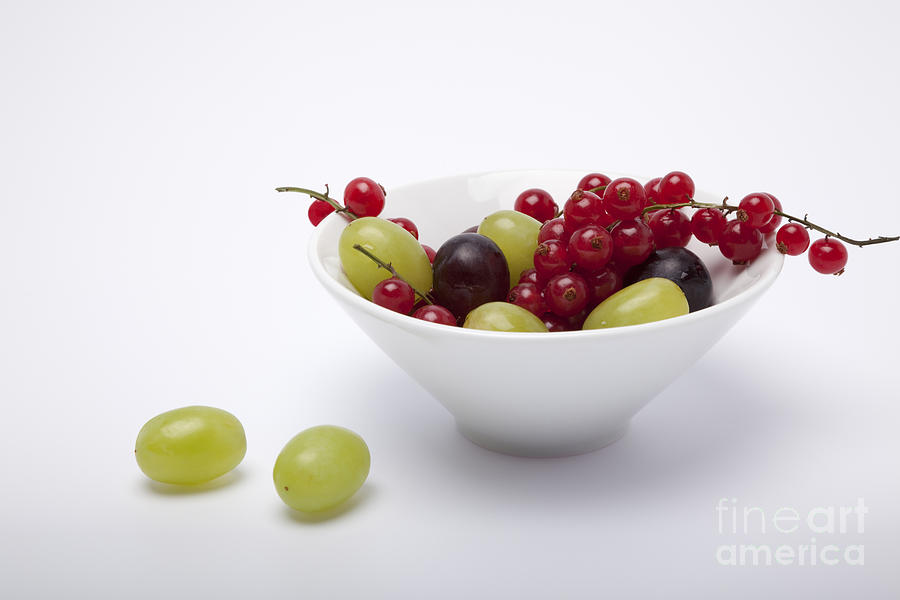 Grapes and redcurrents. Photograph by Vanessa D -