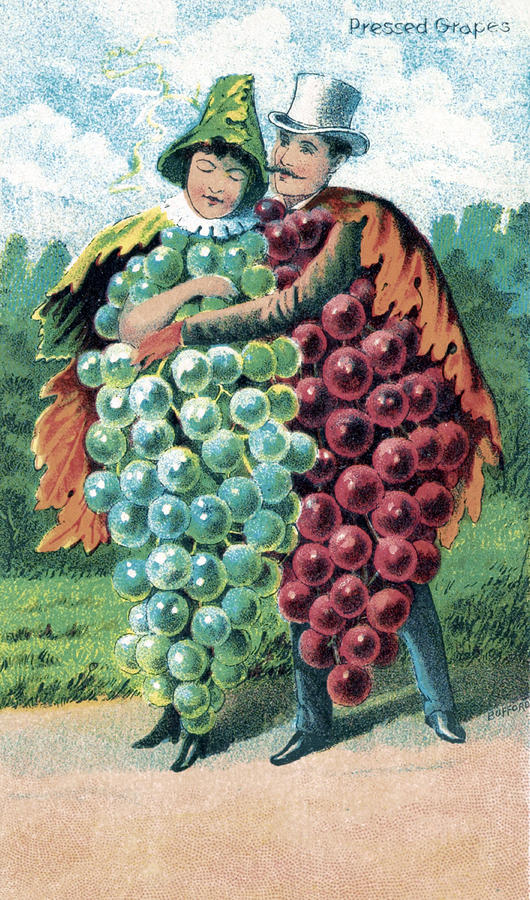 Grapes, Bufford Fruit Card, 1887 Photograph by Science Source