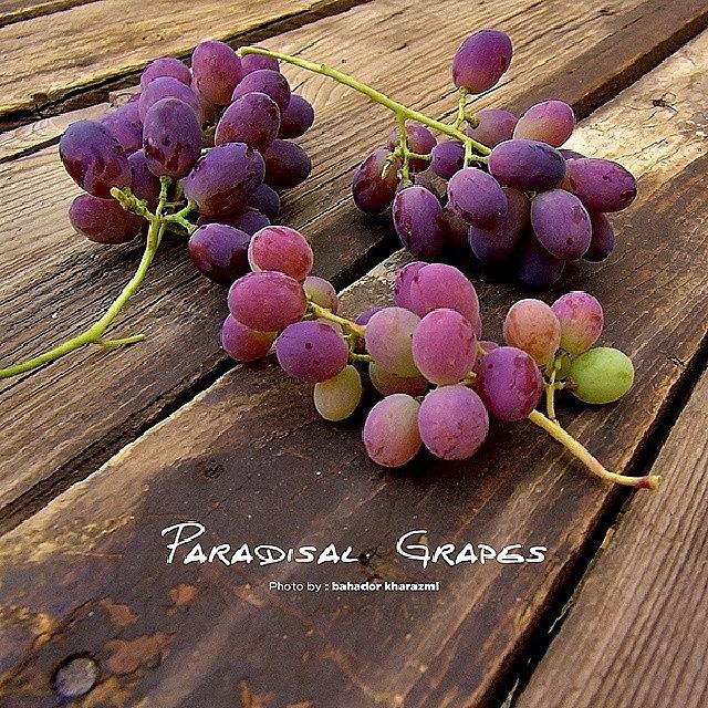 Grape Photograph - #grapes #fruit #pink #purple #green by Bahador Kharazmi