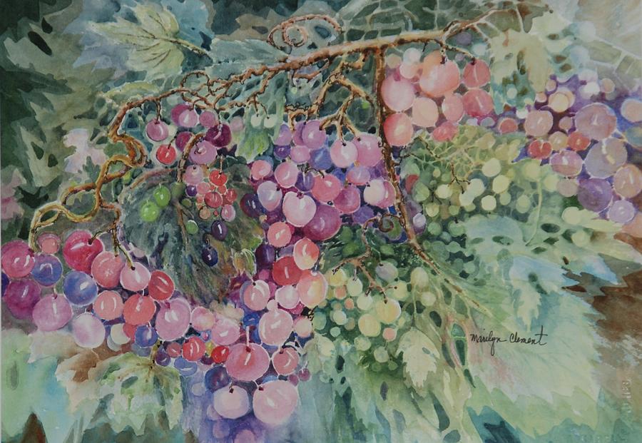 Grapes Galore Painting by Marilyn  Clement