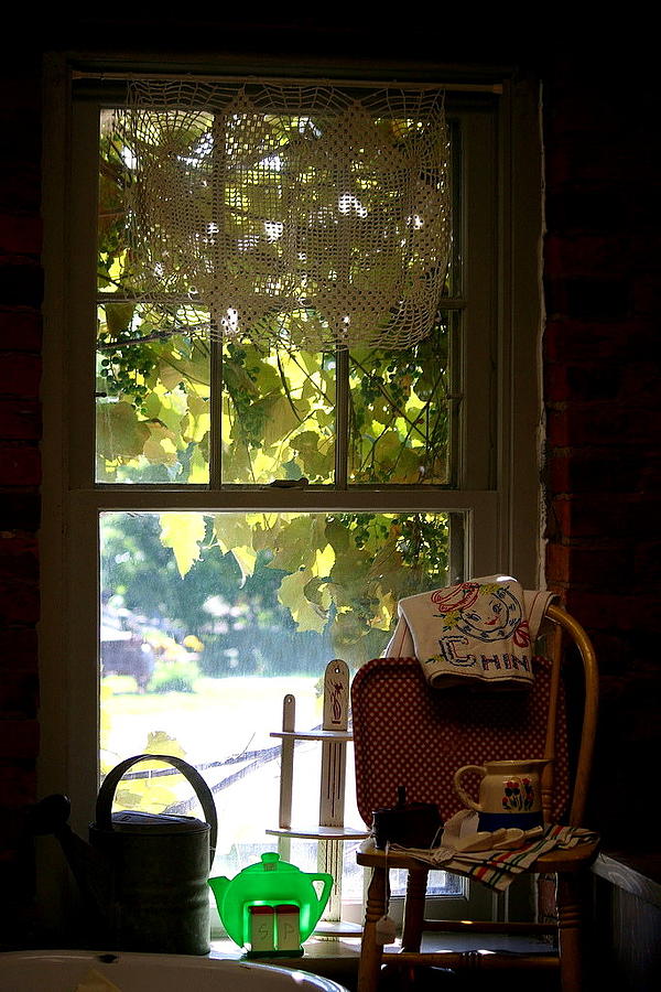 Grape Photograph - Grapes in the Window by Laurel Gillespie