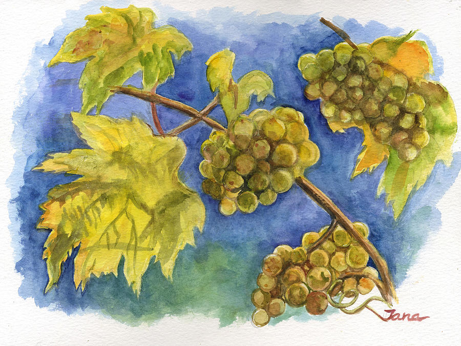 Grape Painting - Grapes by Jana Goode
