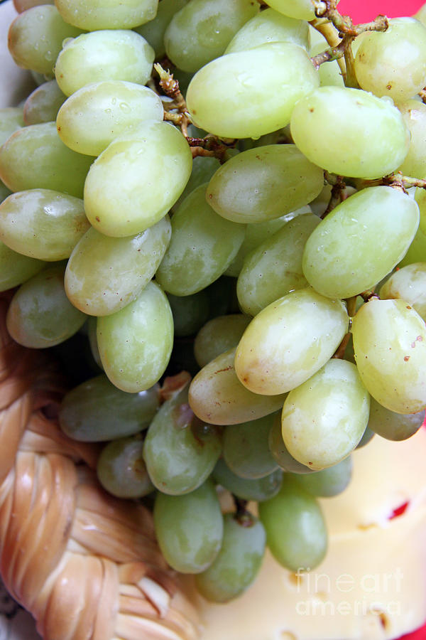 Grape Photograph - Grapes by Lali Kacharava