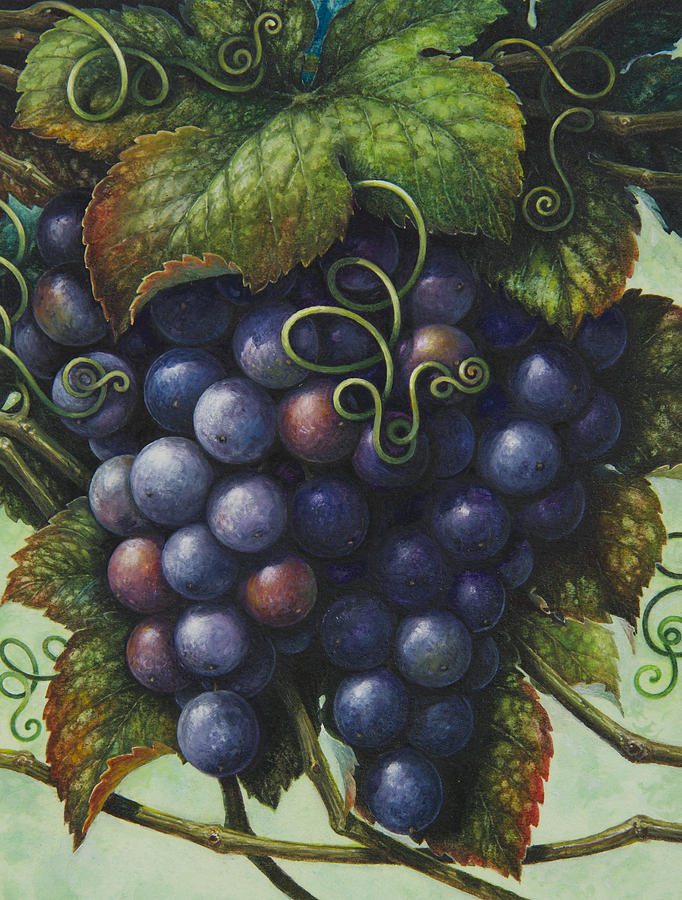 Grapes Painting by Lynn Bywaters