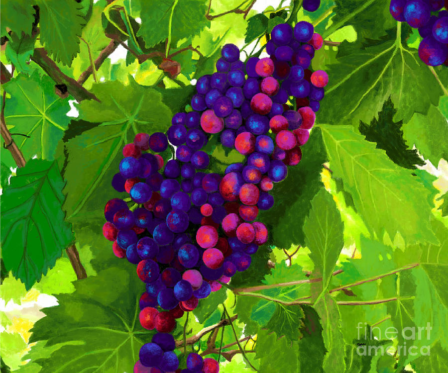 Grapes on the Vine Painting by Jackie Case