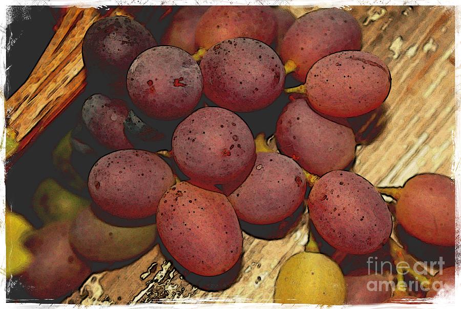 Grapes over the Fence - Digital Art Photograph by Carol Groenen