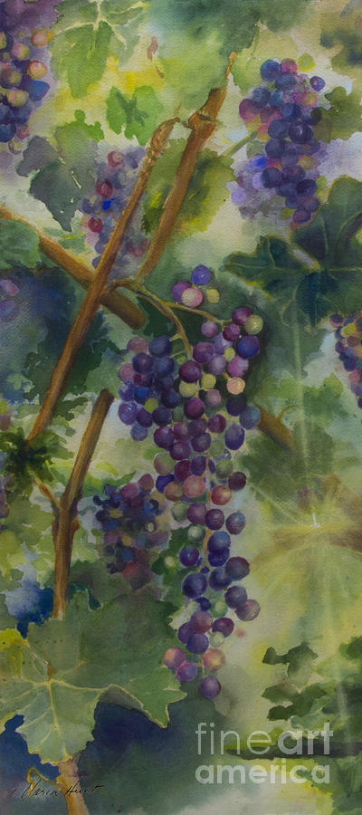 Grape Painting - Baby Cabernets II   triptych by Maria Hunt