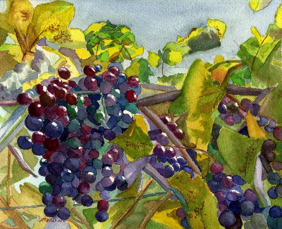 Grapevines Painting by Lynne Reichhart