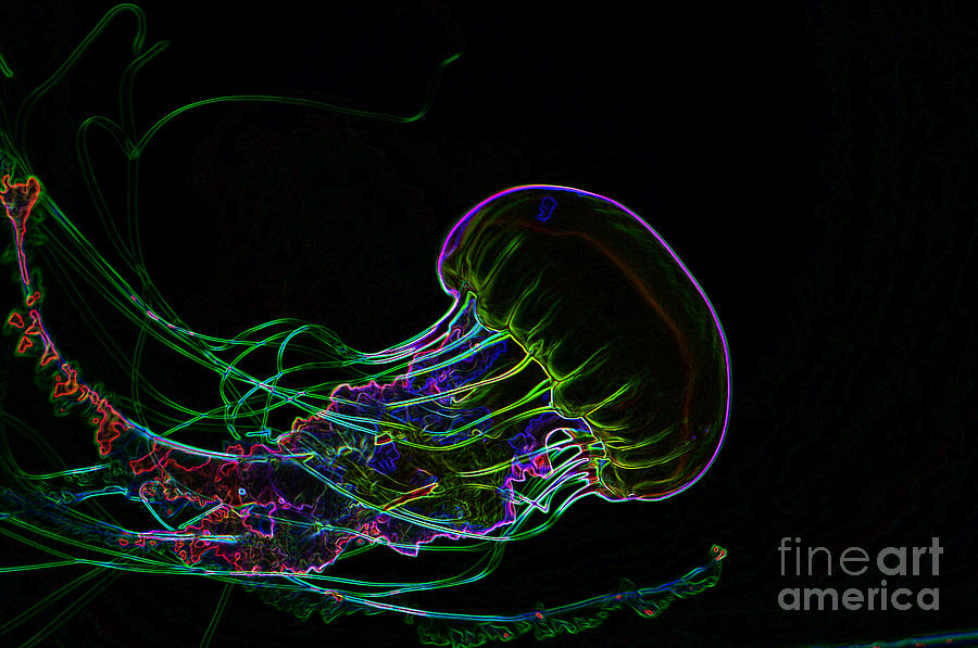Graphic Jelly Fish Digital Art by Louise Magno