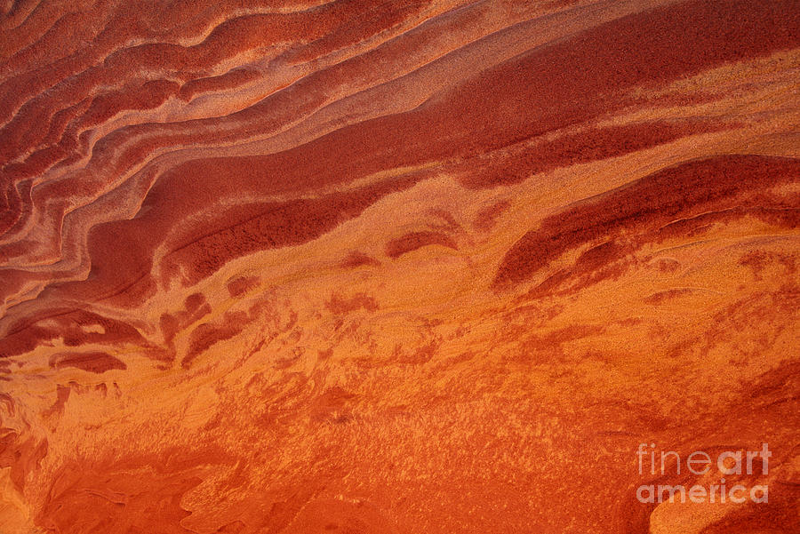 Graphic Sandstone Abstract Colorado Plateau Utah Photograph by Dave Welling