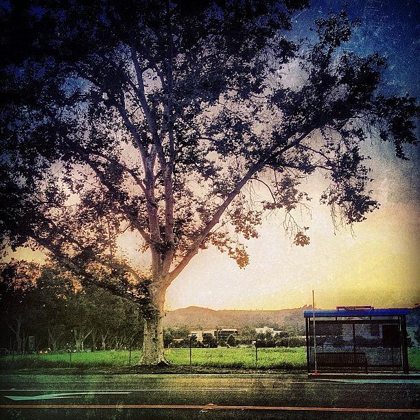 Nature Photograph - ...graphics (19) #nature #busstop by Tyrone Stokes