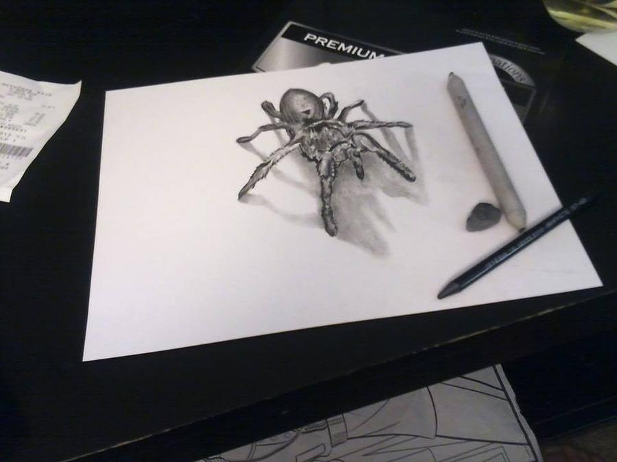 Graphite Spider Drawing by Brandon Deweever - Pixels