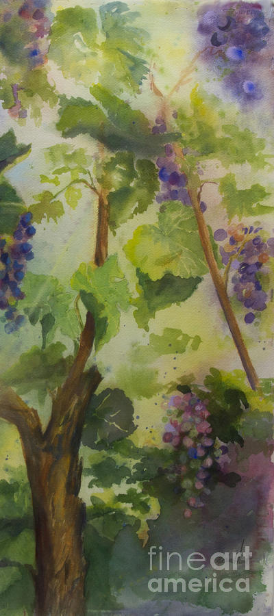 Baby Cabernets III Painting by Maria Hunt
