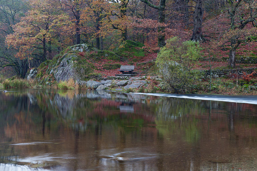 Grasmere Reflections Photograph by Nick Atkin