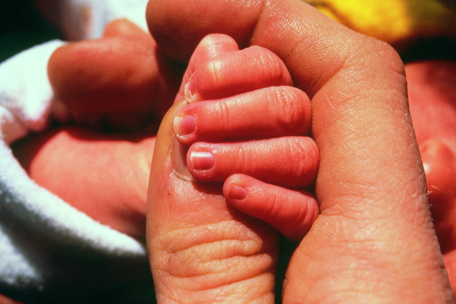 Grasp Photograph - Grasp Of A Newborn Baby Girl by James Stevenson/science Photo Library