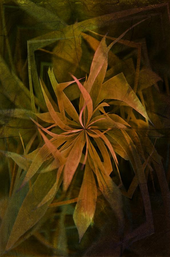 Nature Photograph - Grass Abstract - Earth by Marianna Mills