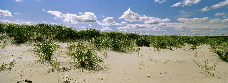 Grass Among The Dunes, Crane Beach Photograph by Panoramic Images