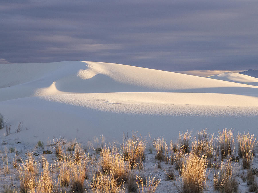 Grass and Hills in White Sands Photograph by Jean Noren