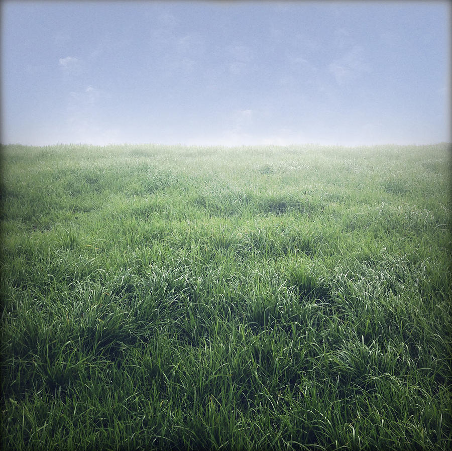 Spring Photograph - Grass and sky  by Les Cunliffe