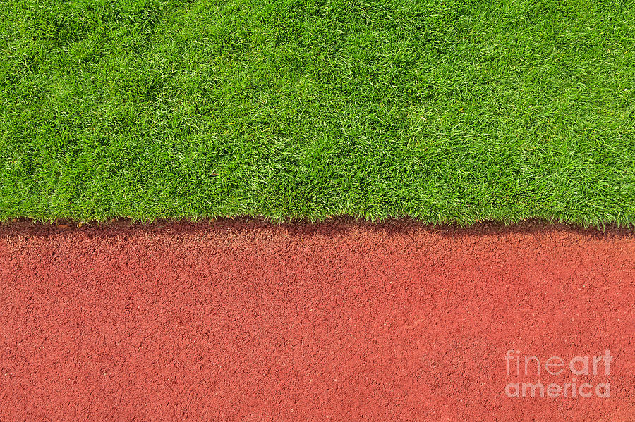 Grass And Track Texture Photograph