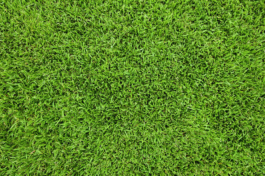 Grass Background By Mphillips007