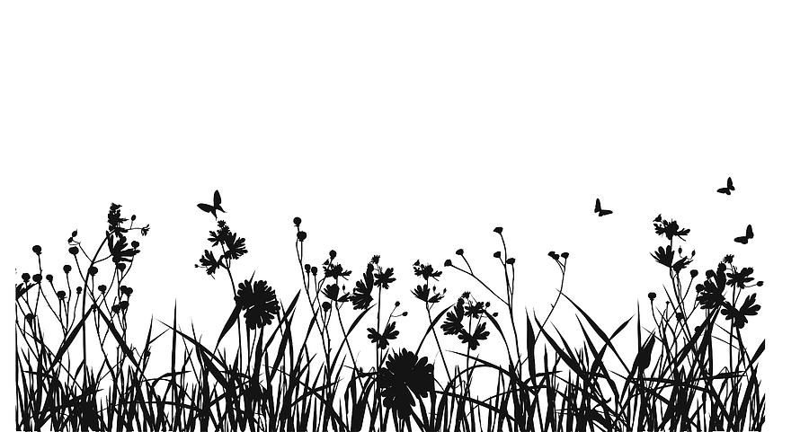 Grass Field With Butterfly Silhouette Drawing by JoeLena