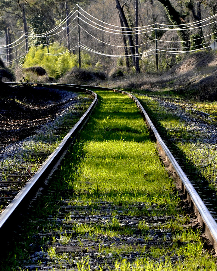 Grass In The Tracks Photograph by Glenn Grossman